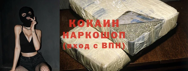 шишки Горняк