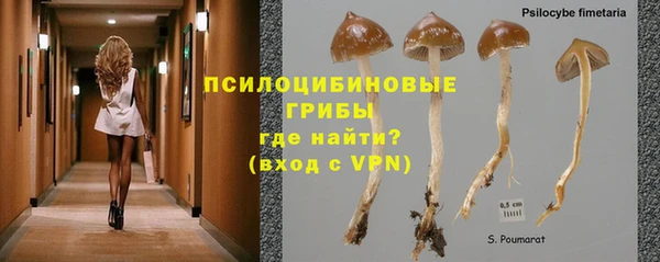 соль ск Алексеевка