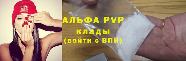винт Алзамай