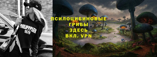 винт Алзамай