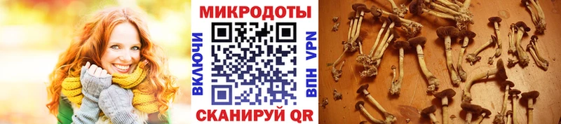 MEGA ССЫЛКА  наркошоп  Нелидово  Псилоцибиновые грибы прущие грибы 